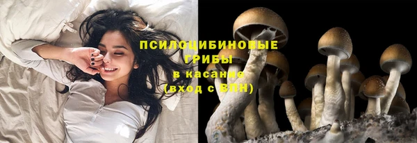дурь Лихославль