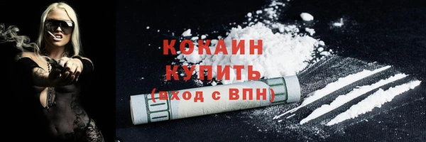 2c-b Богородицк