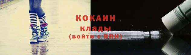 трава Лабытнанги