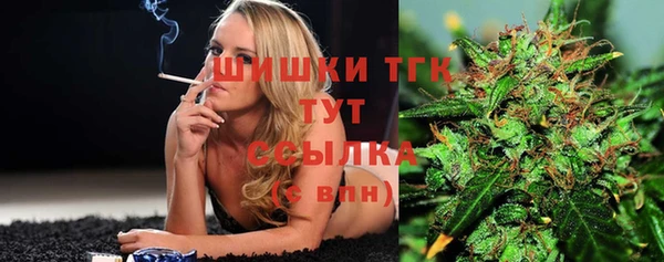 ешки Домодедово