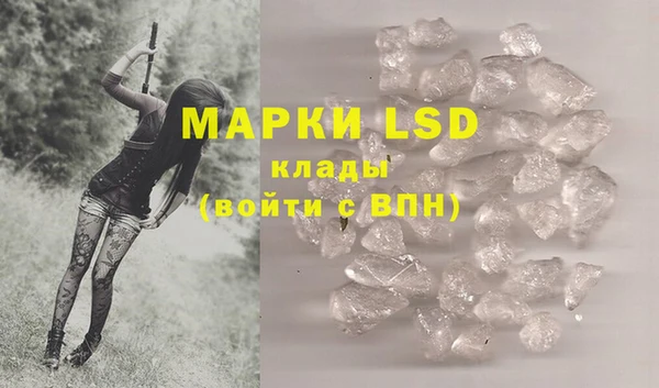 PSILOCYBIN Лагань