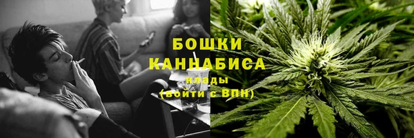трава Лабытнанги